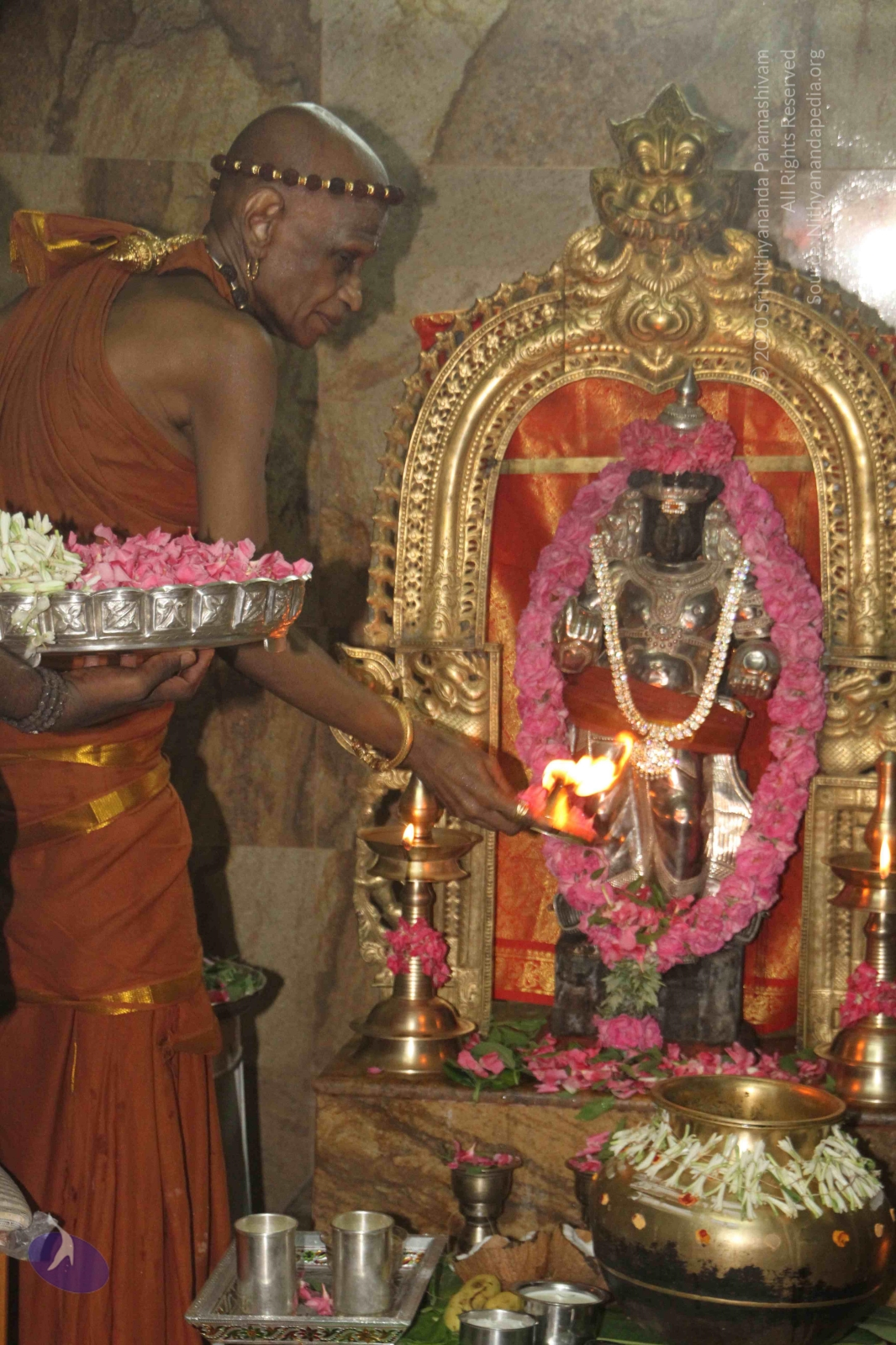 20120604_Photo_1039_IMG_5328_CMP_WM