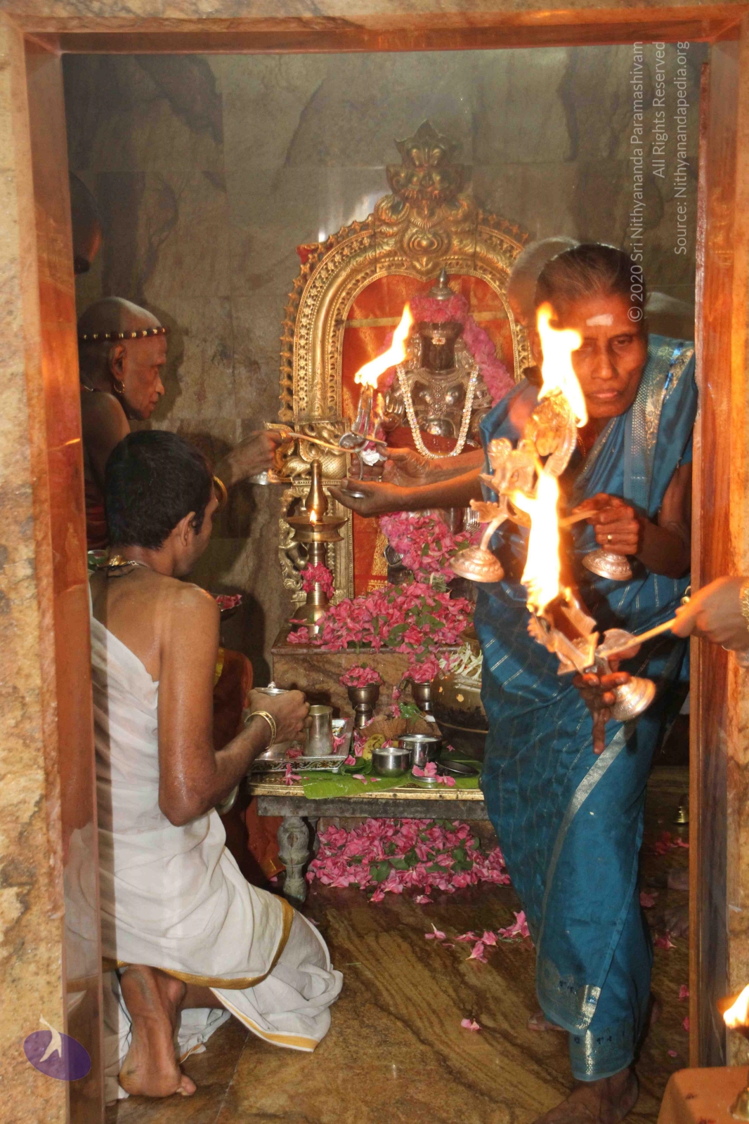 20120604_Photo_1042_IMG_5347_CMP_WM