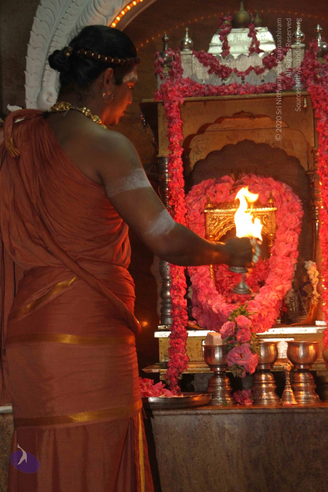 20120604_Photo_1047_IMG_5231_CMP_WM