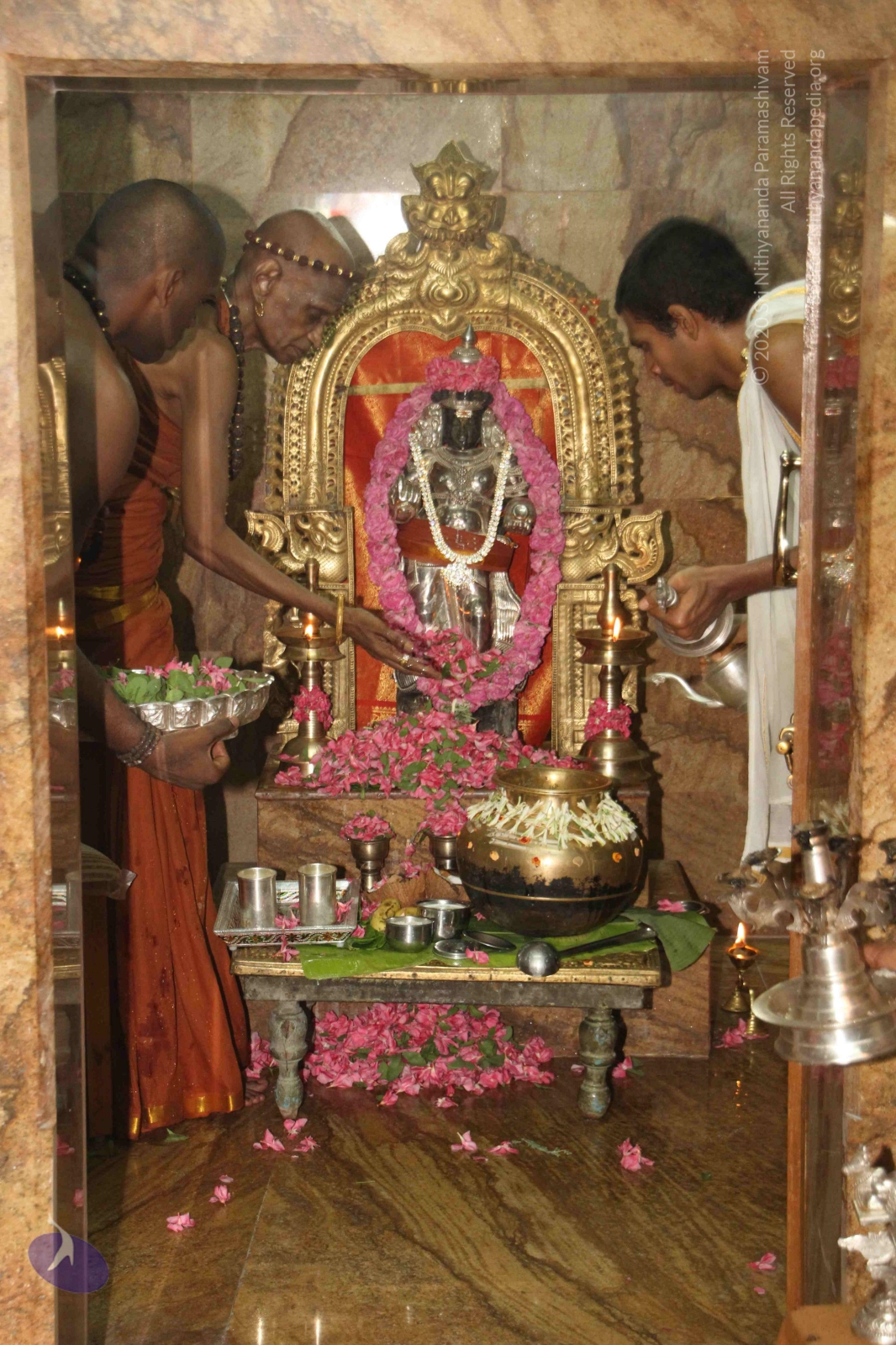 20120604_Photo_1056_IMG_5342_CMP_WM