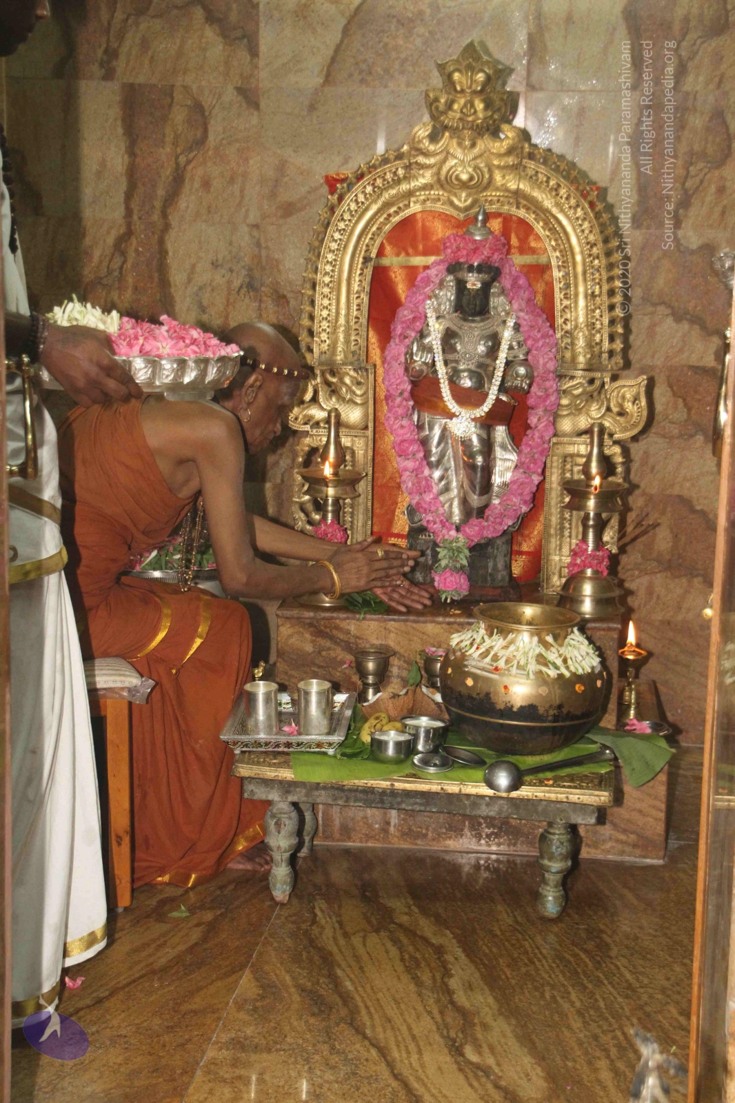 20120604_Photo_1072_IMG_5323_CMP_WM