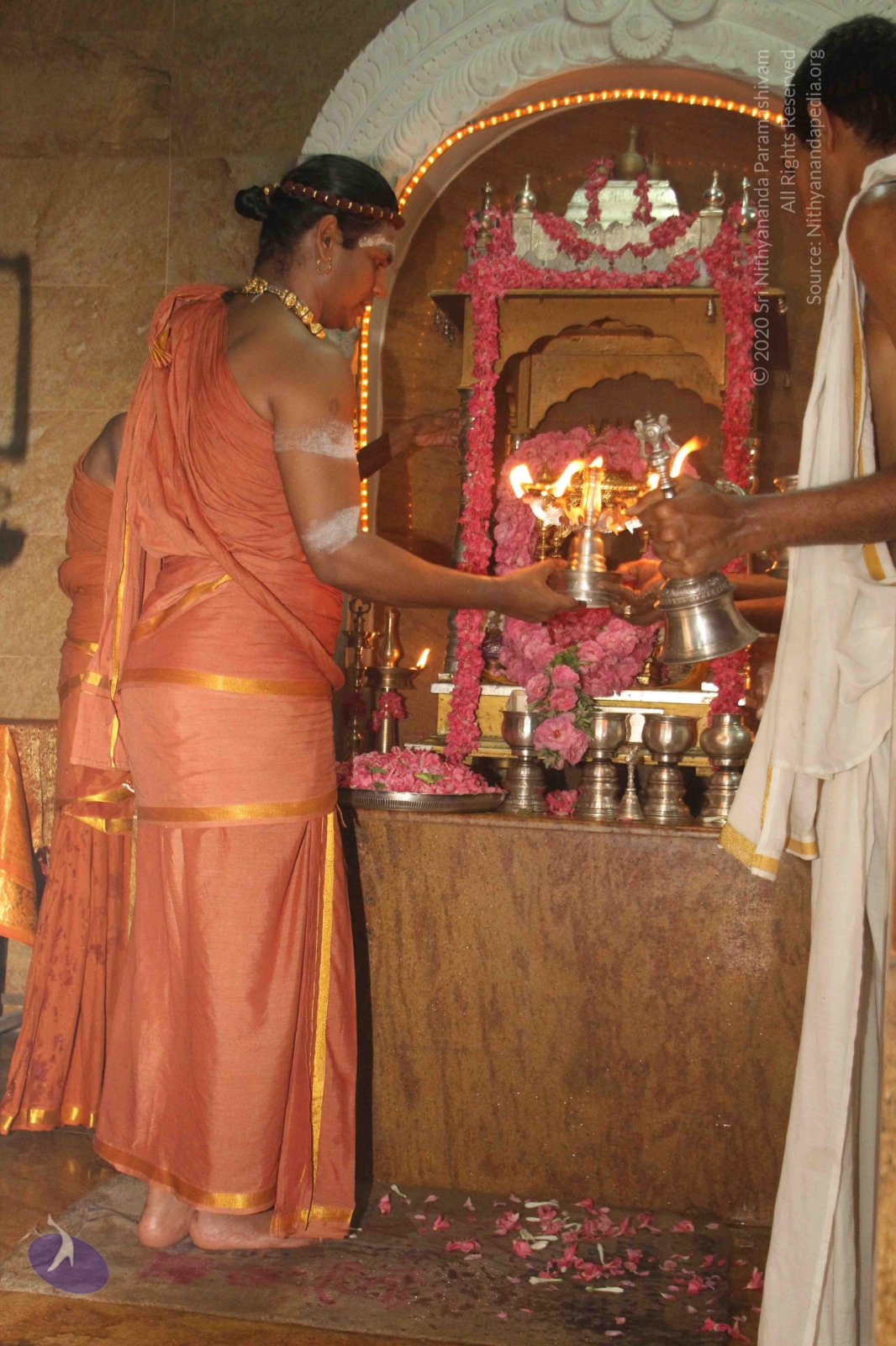 20120604_Photo_1090_IMG_5250_CMP_WM