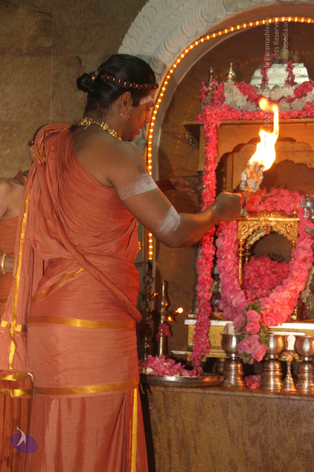 20120604_Photo_1093_IMG_5232_CMP_WM