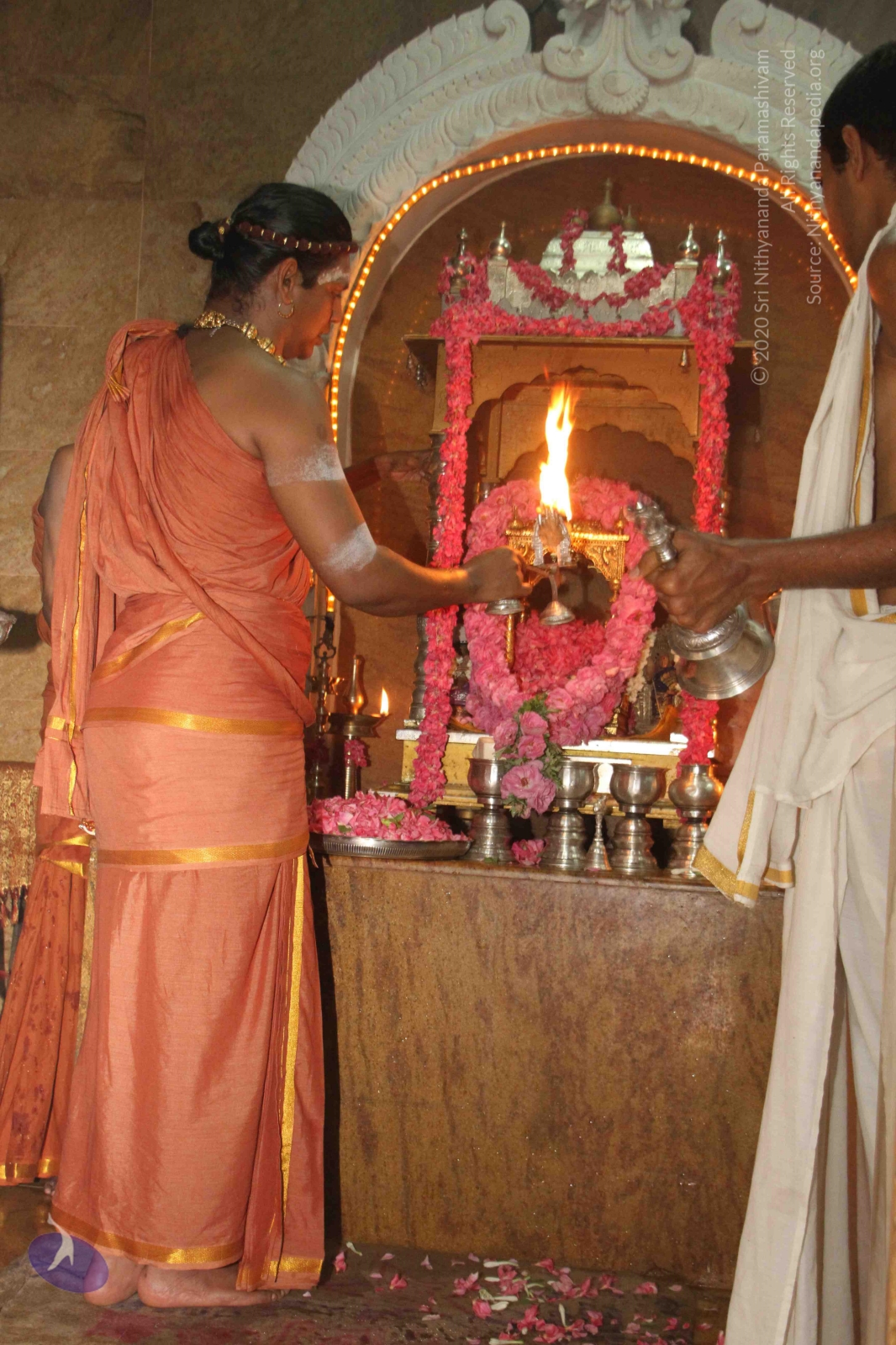 20120604_Photo_1106_IMG_5246_CMP_WM