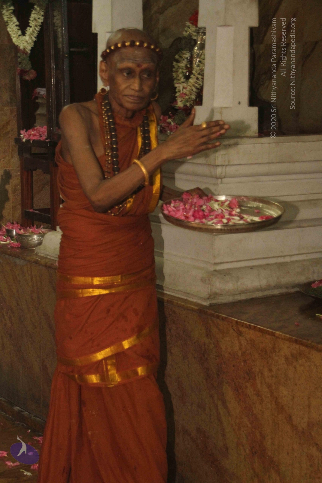 20120604_Photo_1108_IMG_5292_CMP_WM