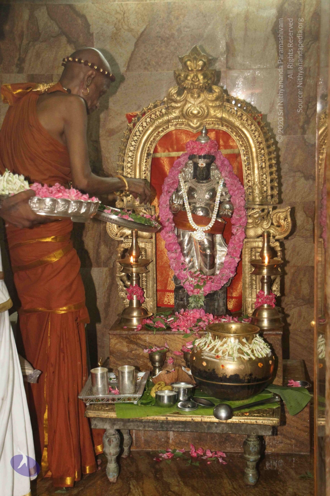 20120604_Photo_1118_IMG_5329_CMP_WM