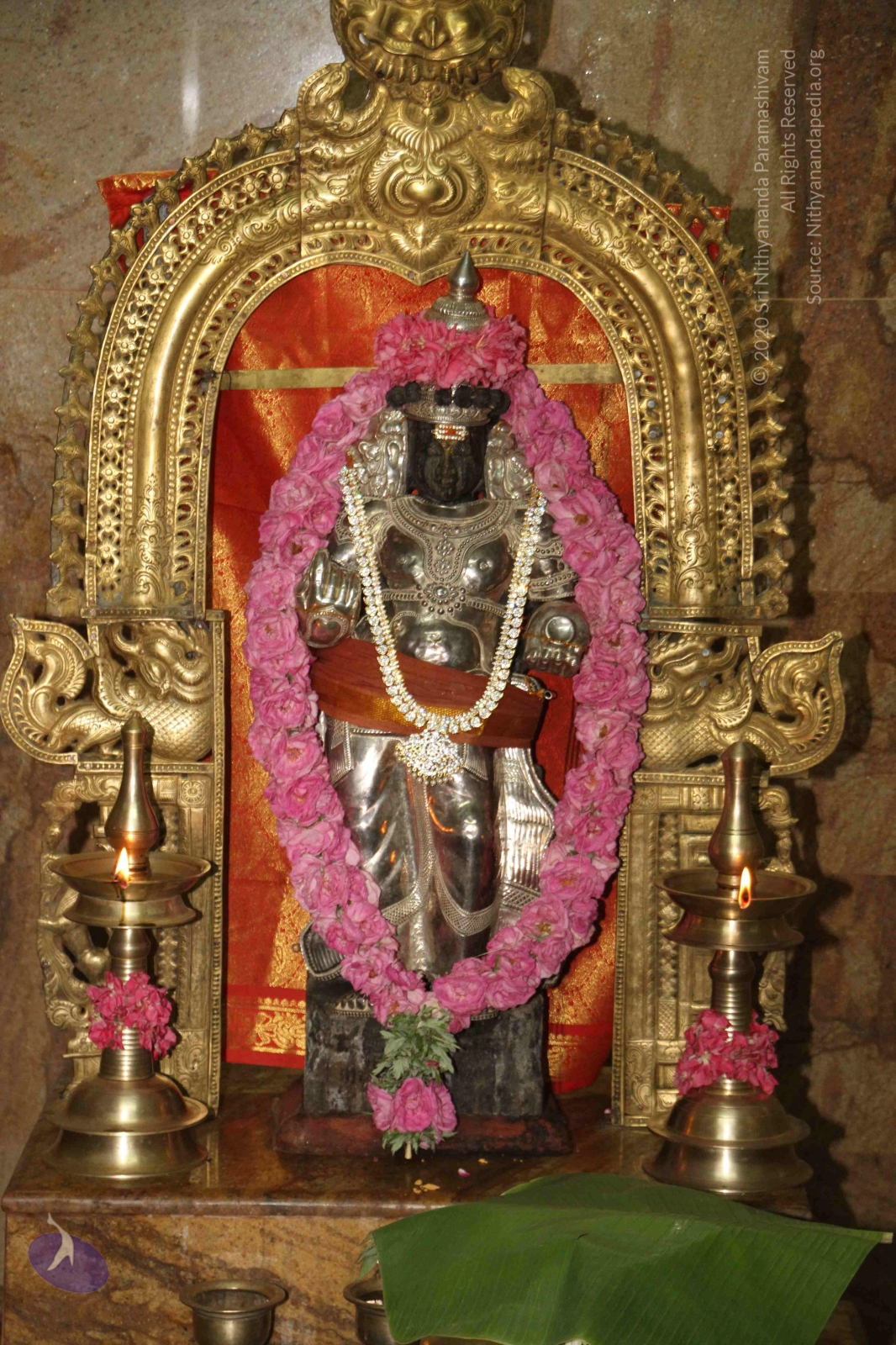 20120604_Photo_1119_IMG_5163_CMP_WM