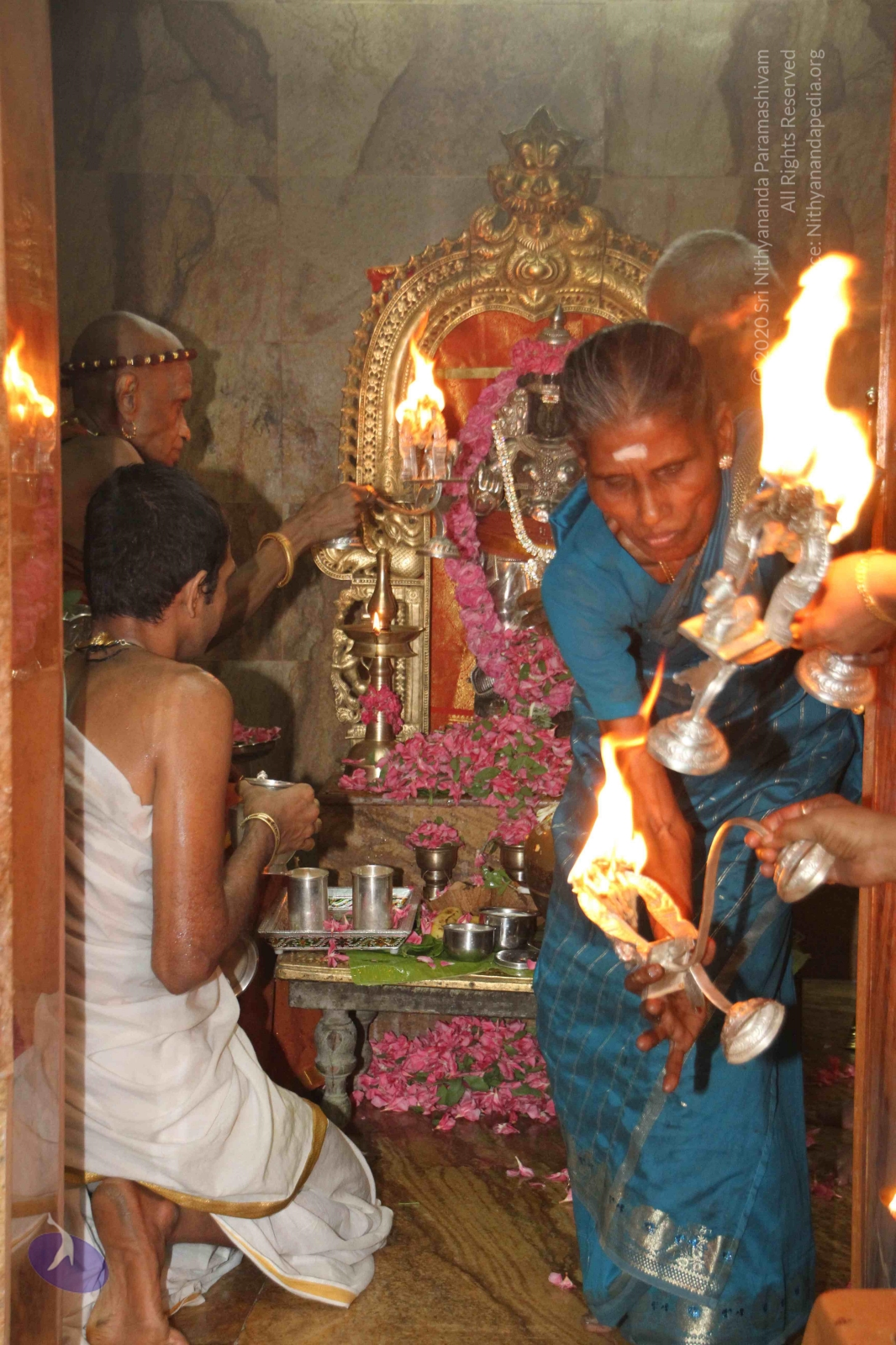 20120604_Photo_1123_IMG_5346_CMP_WM