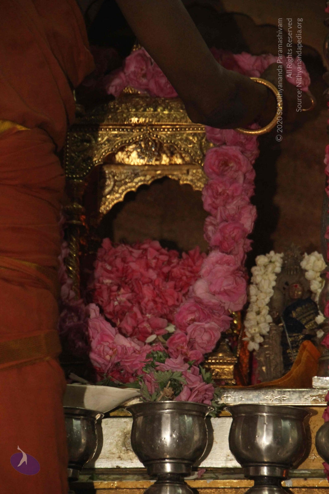 20120604_Photo_1129_IMG_5207_CMP_WM