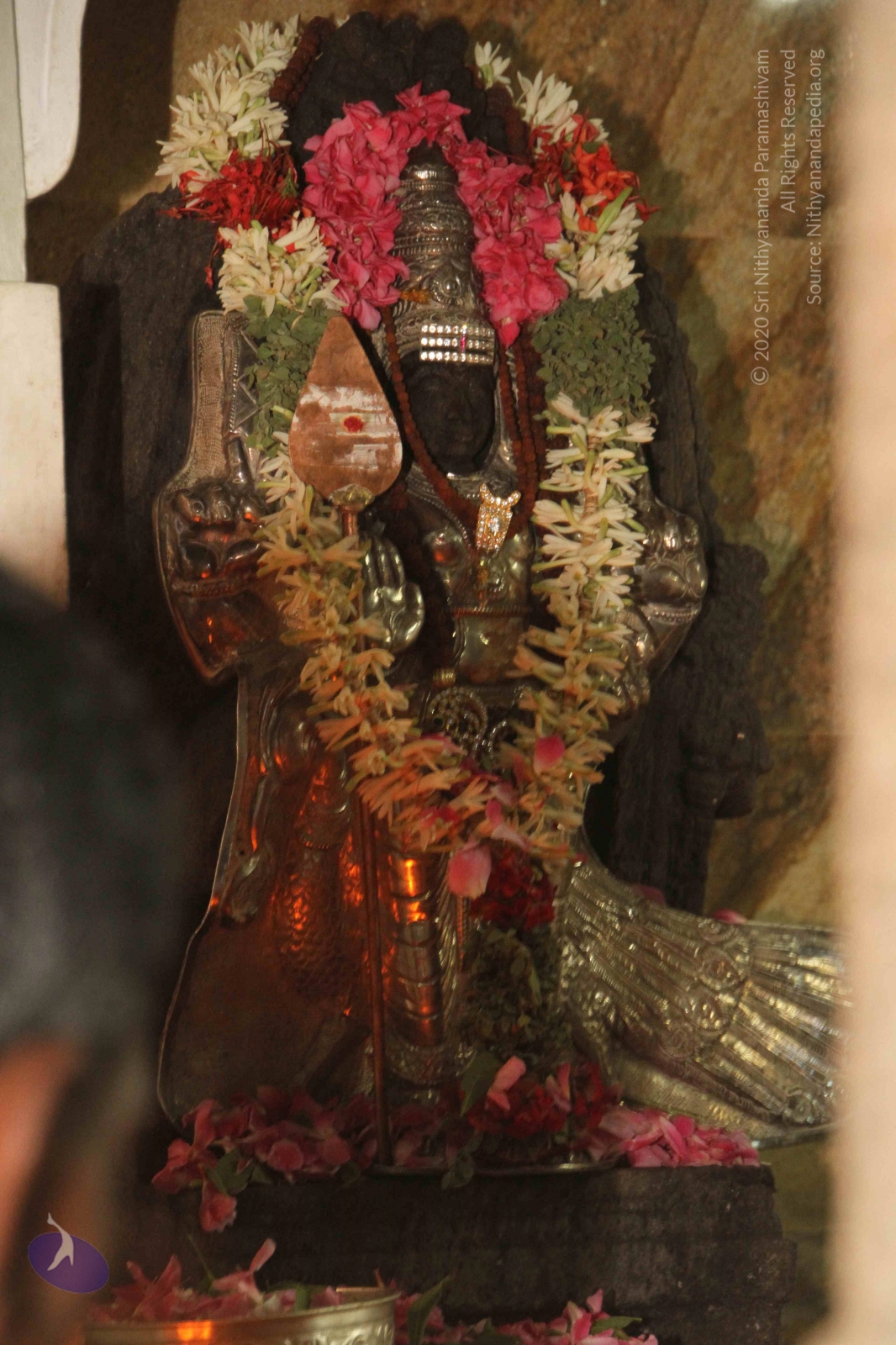 20120604_Photo_1004_IMG_5301_CMP_WM