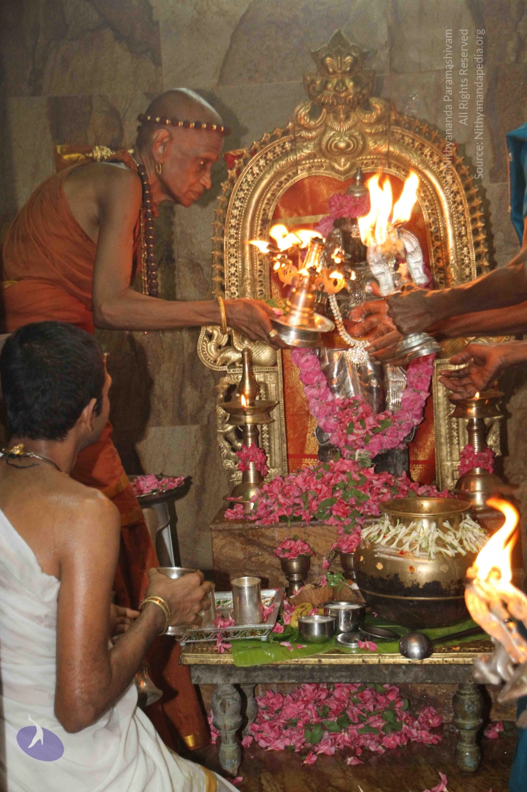 20120604_Photo_1007_IMG_5345_CMP_WM