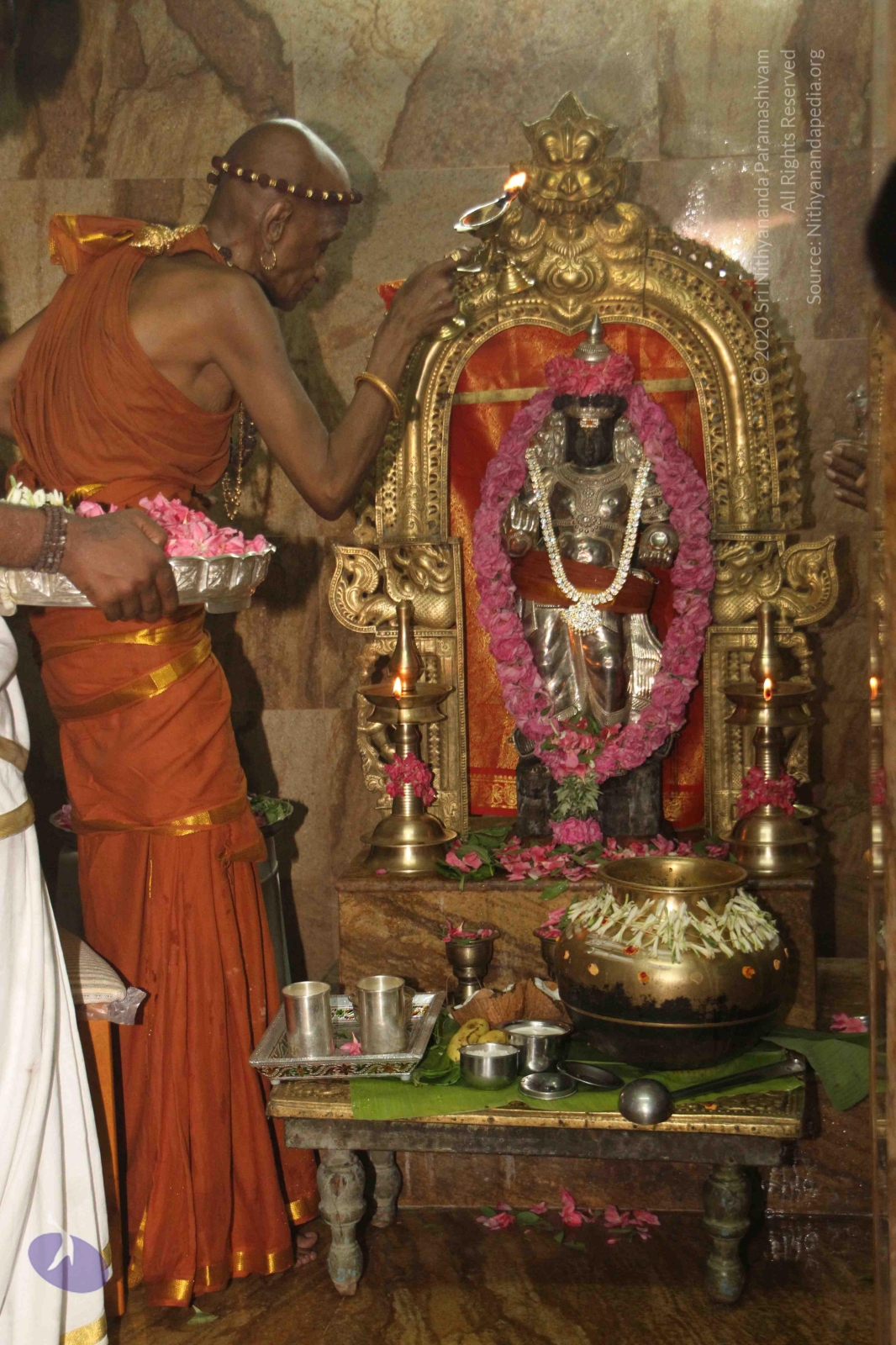 20120604_Photo_1009_IMG_5327_CMP_WM