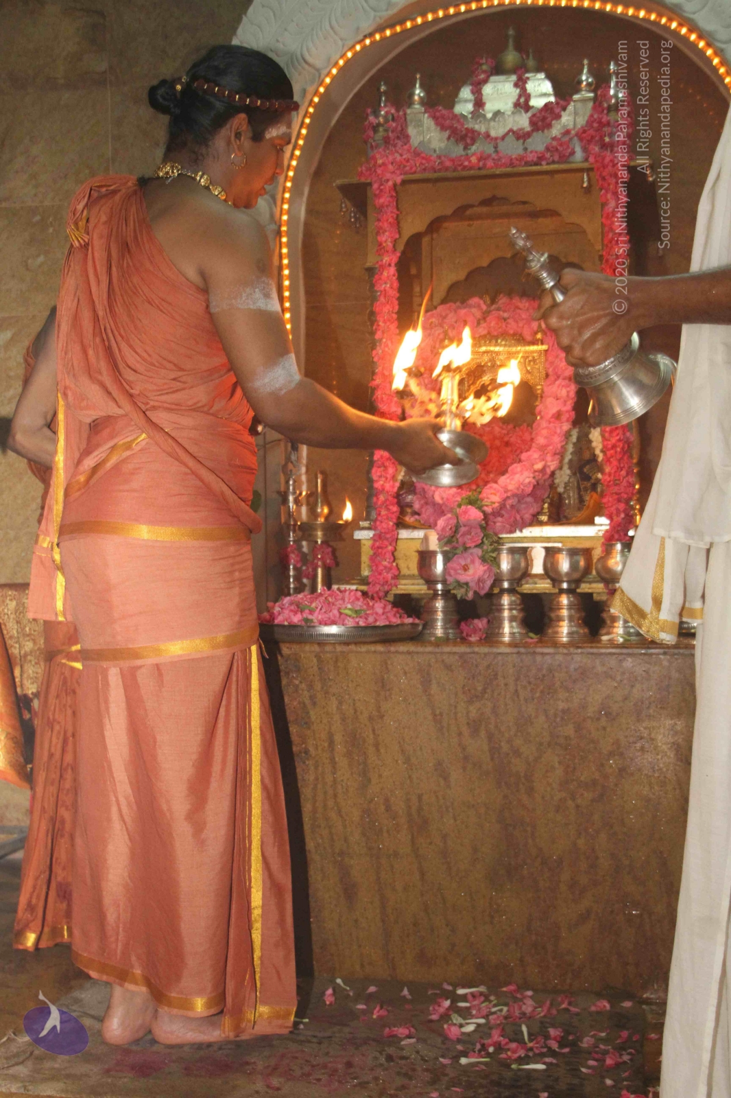 20120604_Photo_1015_IMG_5254_CMP_WM