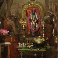 20120604_Photo_1018_IMG_5322_CMP_WM