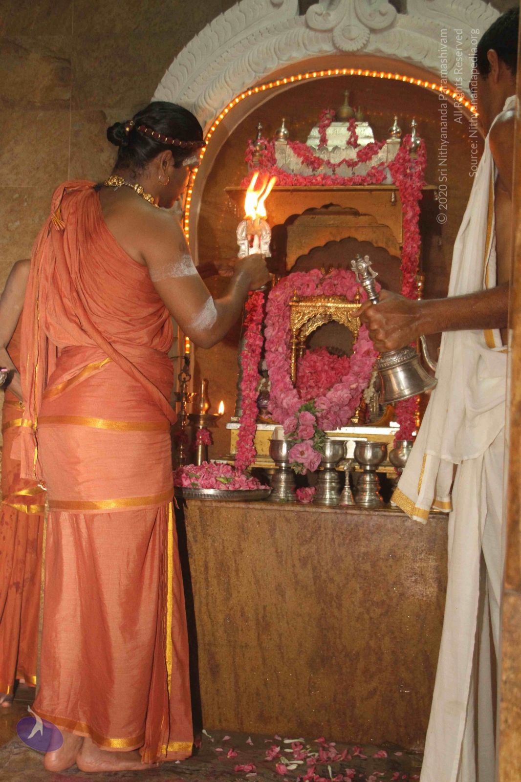 20120604_Photo_1021_IMG_5248_CMP_WM