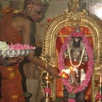 20120604_Photo_1039_IMG_5328_CMP_WM