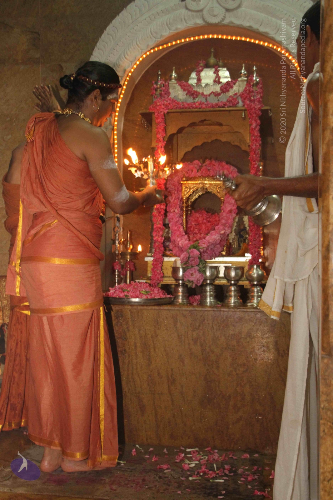 20120604_Photo_1043_IMG_5253_CMP_WM