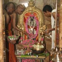 20120604_Photo_1056_IMG_5342_CMP_WM