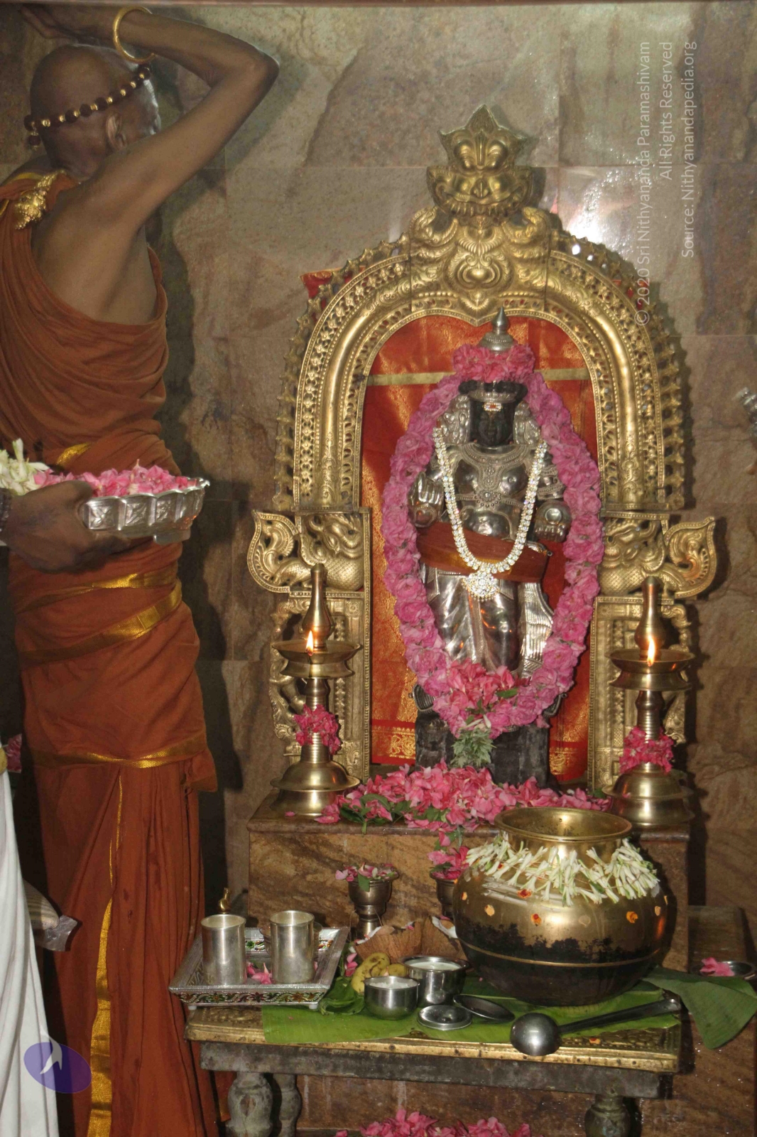 20120604_Photo_1059_IMG_5331_CMP_WM