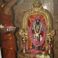 20120604_Photo_1059_IMG_5331_CMP_WM