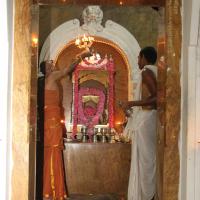 20120604_Photo_1060_IMG_5212_CMP_WM