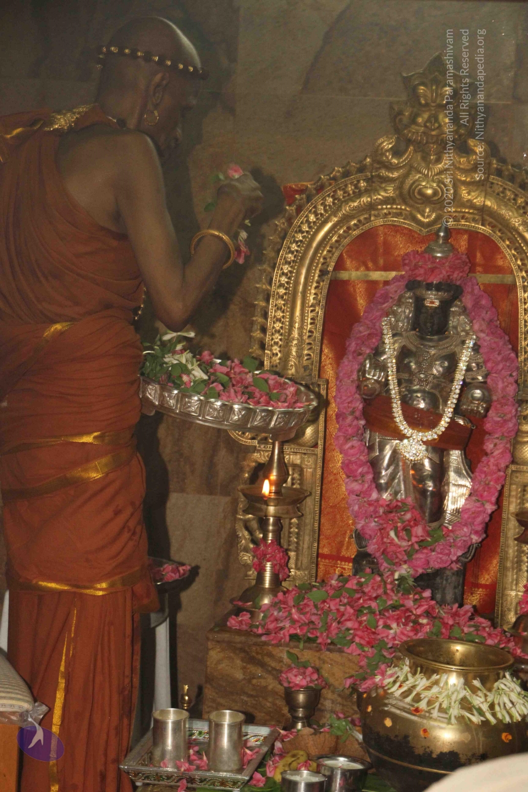 20120604_Photo_1061_IMG_5353_CMP_WM