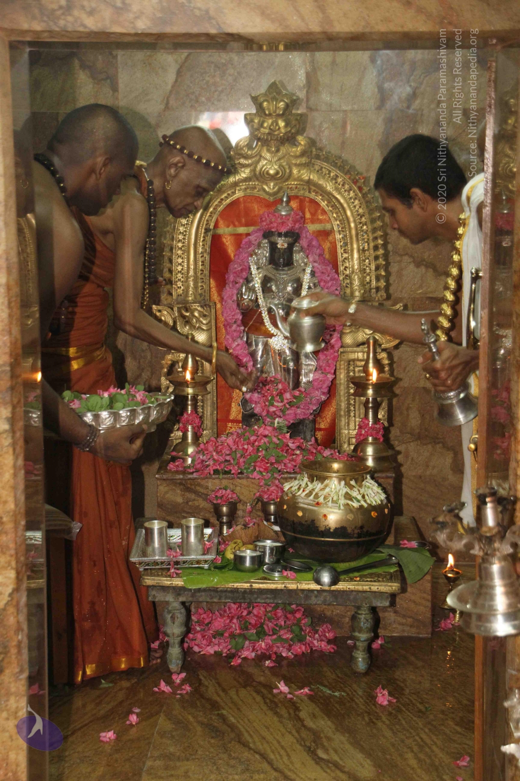 20120604_Photo_1069_IMG_5341_CMP_WM