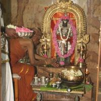 20120604_Photo_1072_IMG_5323_CMP_WM