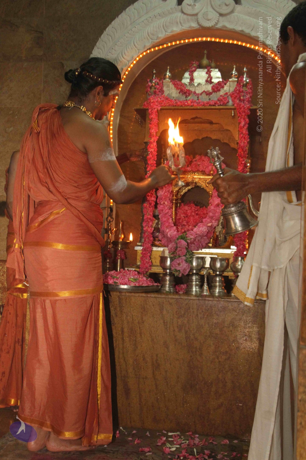 20120604_Photo_1075_IMG_5249_CMP_WM