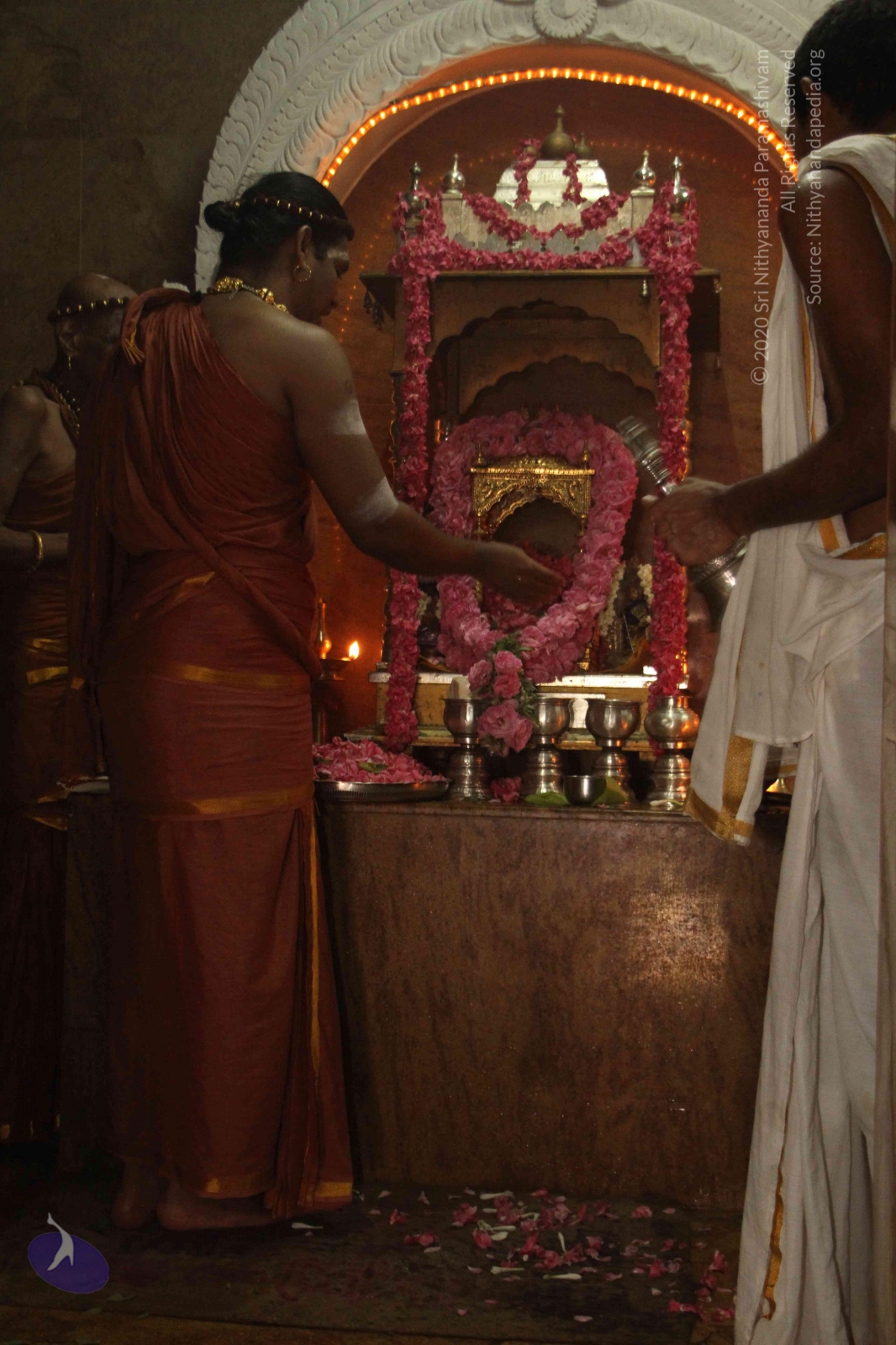 20120604_Photo_1089_IMG_5267_CMP_WM