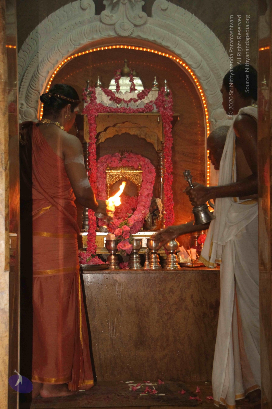 20120604_Photo_1116_IMG_5243_CMP_WM