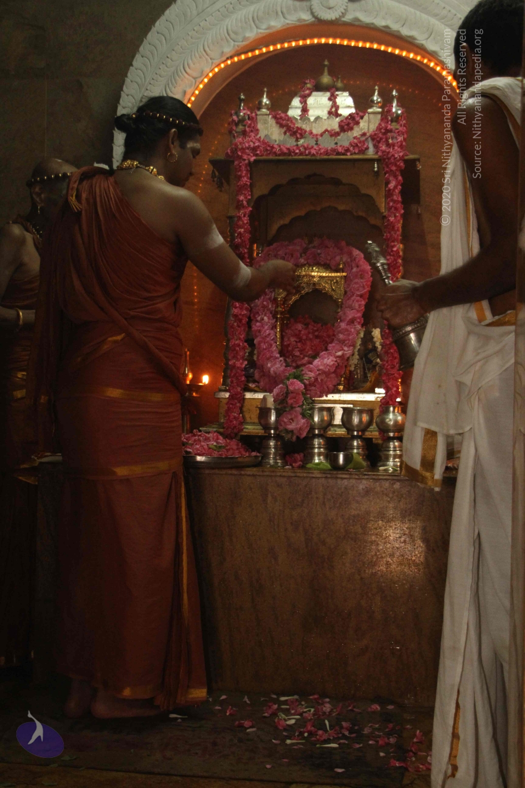 20120604_Photo_1120_IMG_5268_CMP_WM