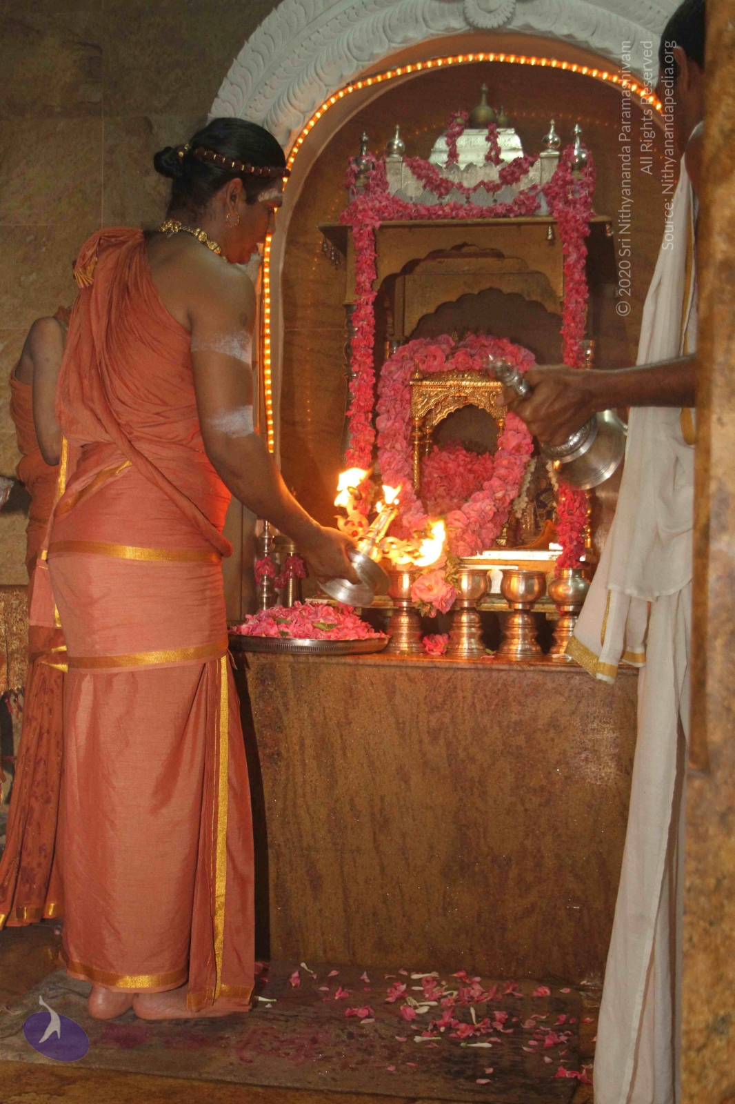 20120604_Photo_1124_IMG_5252_CMP_WM