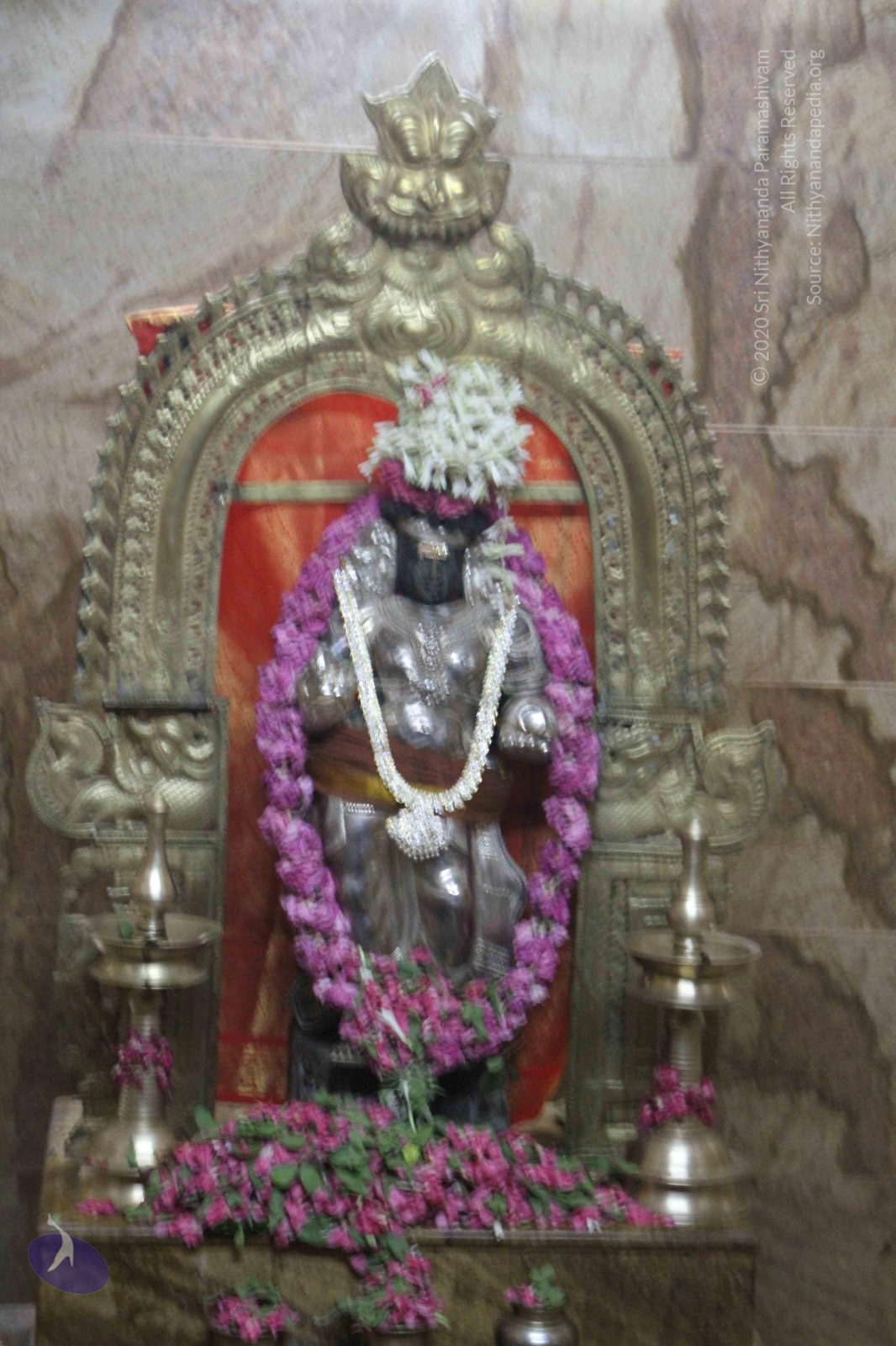 20120604_Photo_1005_IMG_5406_CMP_WM