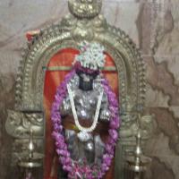 20120604_Photo_1005_IMG_5406_CMP_WM