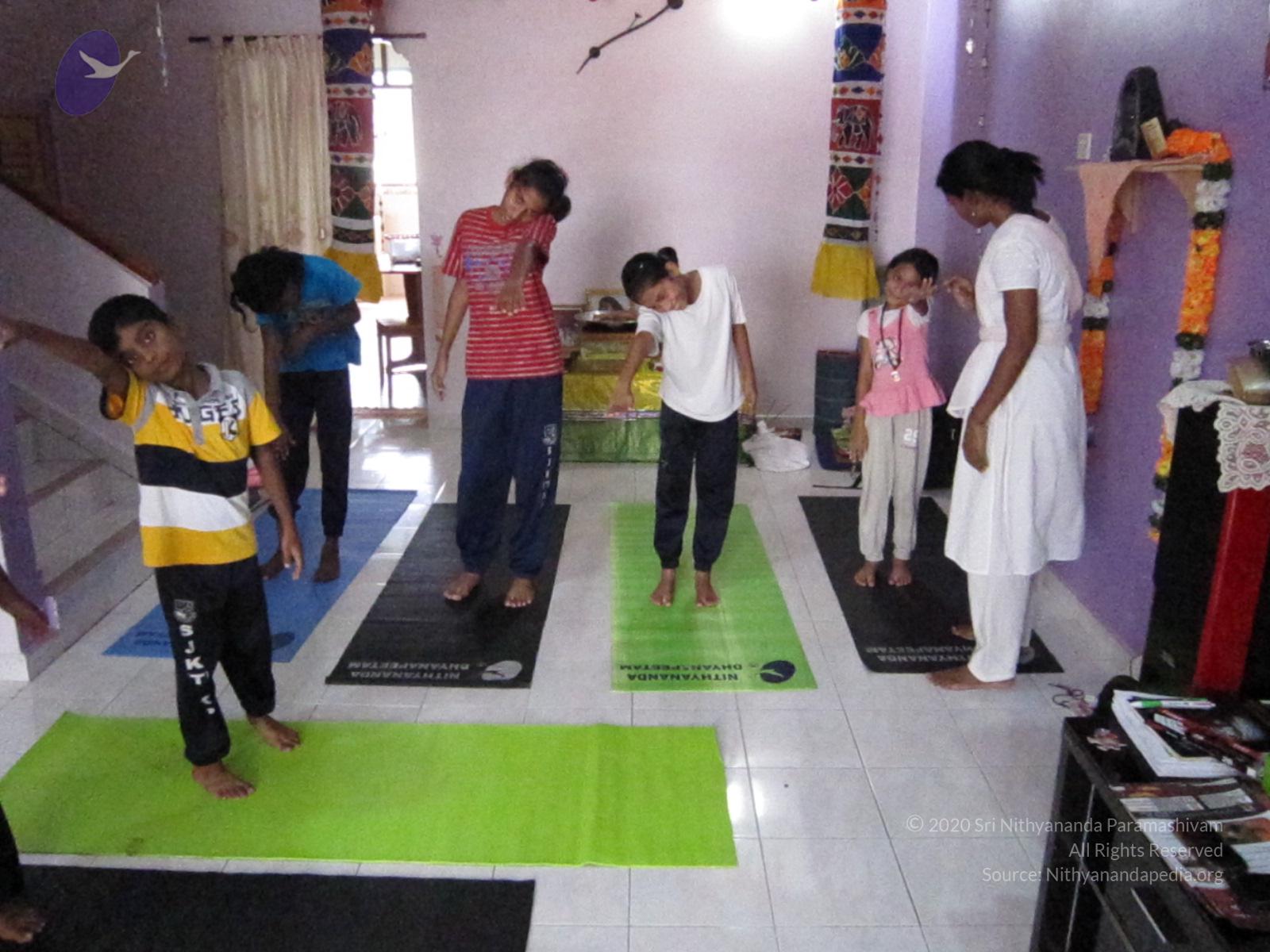 20120317_Photo_1007_IMG_0514_CMP_WM