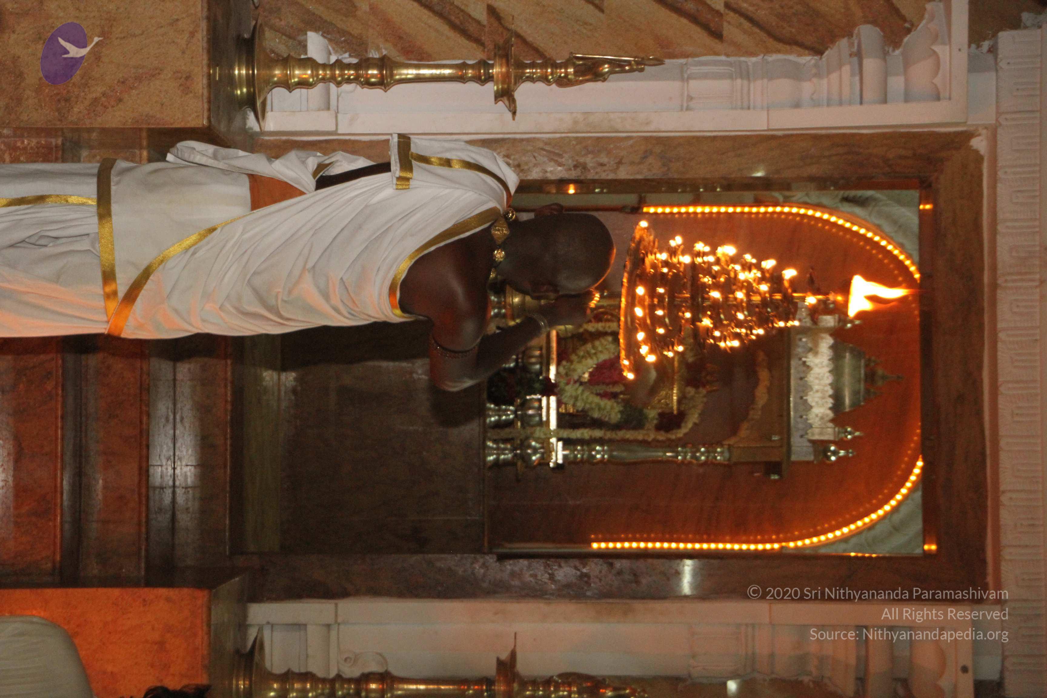 20120510_Photo_1033_IMG_7165_CMP_WM