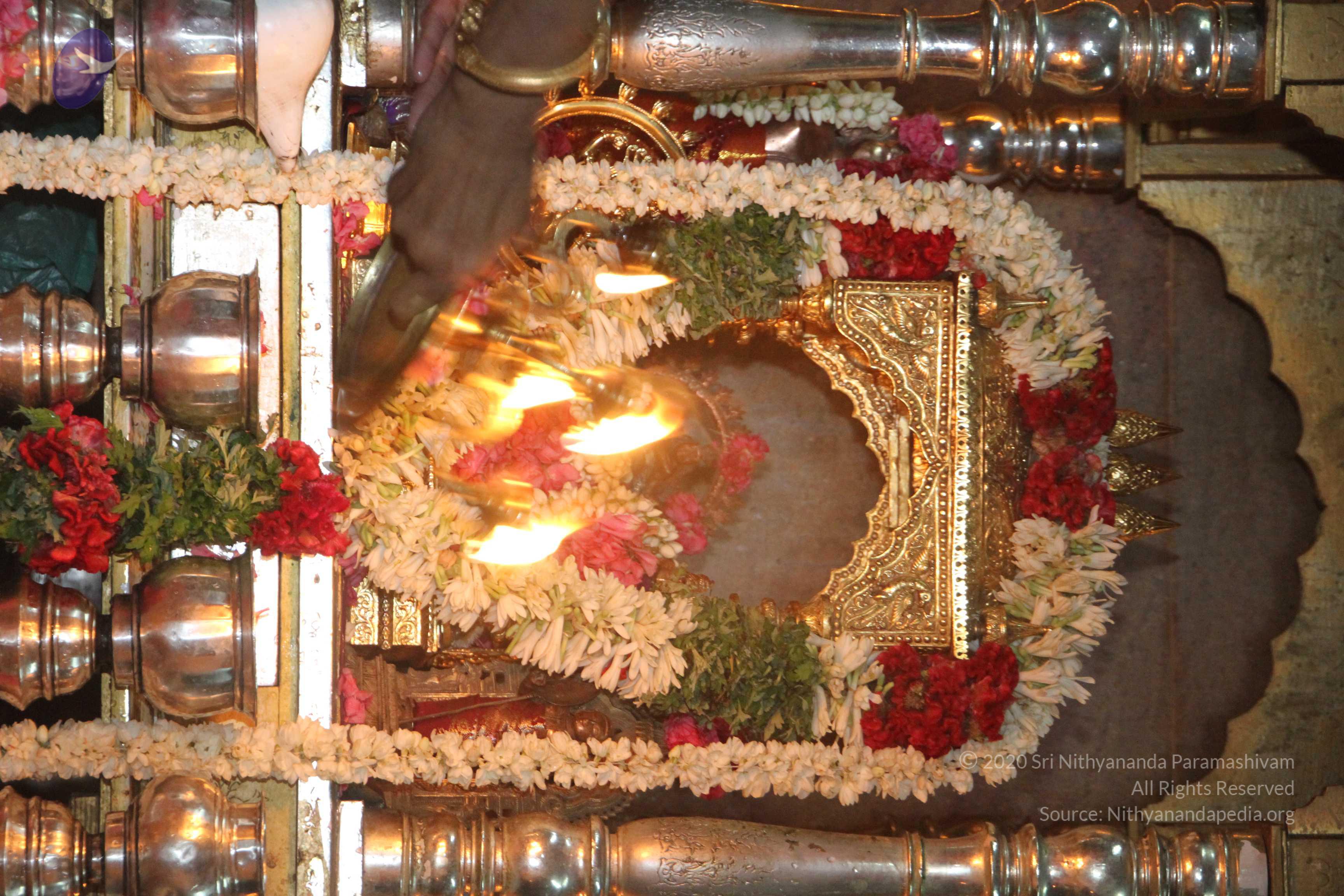 20120510_Photo_1022_IMG_6822_CMP_WM