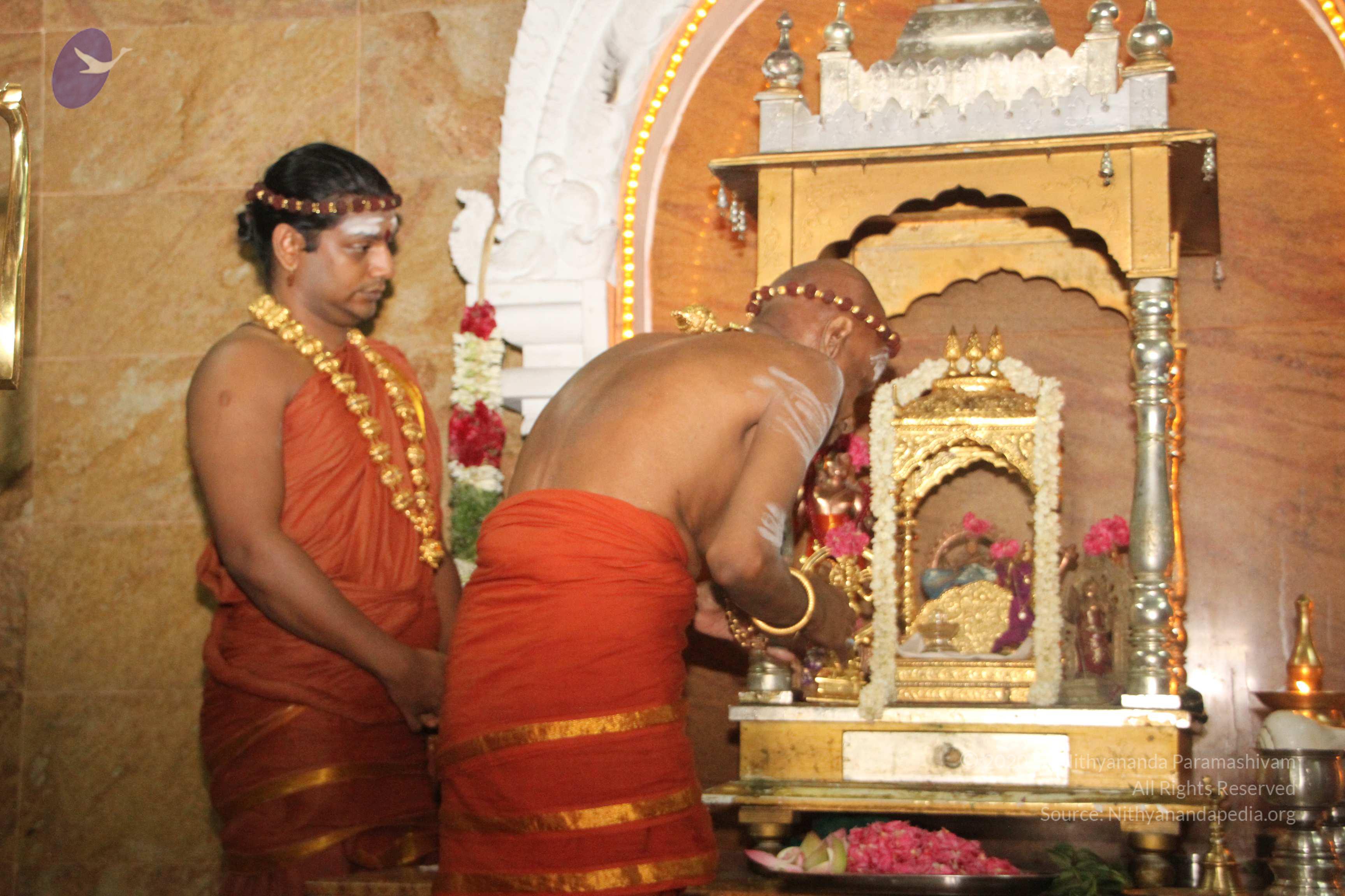 20120510_Photo_1029_IMG_6755_CMP_WM