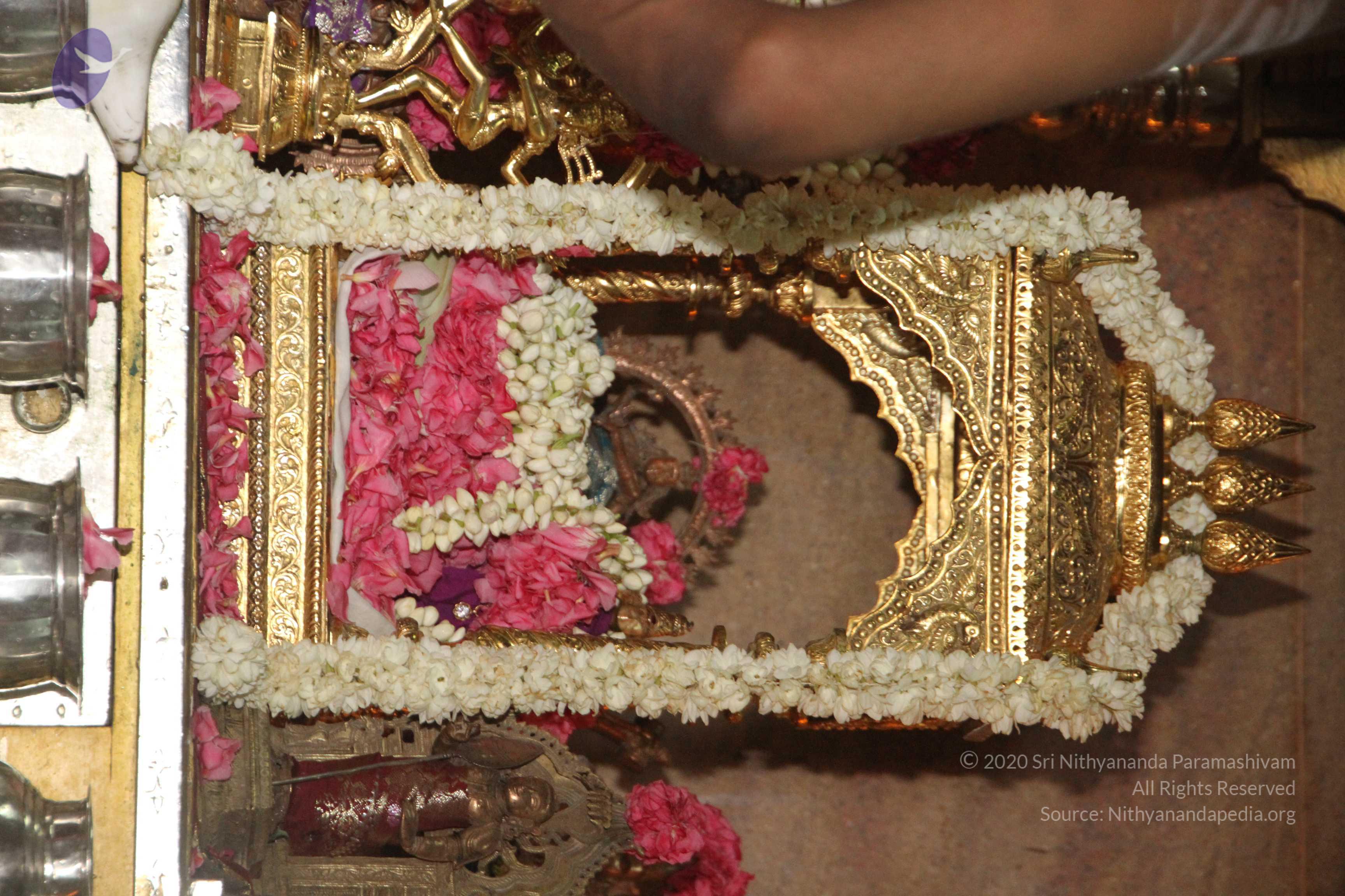 20120510_Photo_1030_IMG_6781_CMP_WM