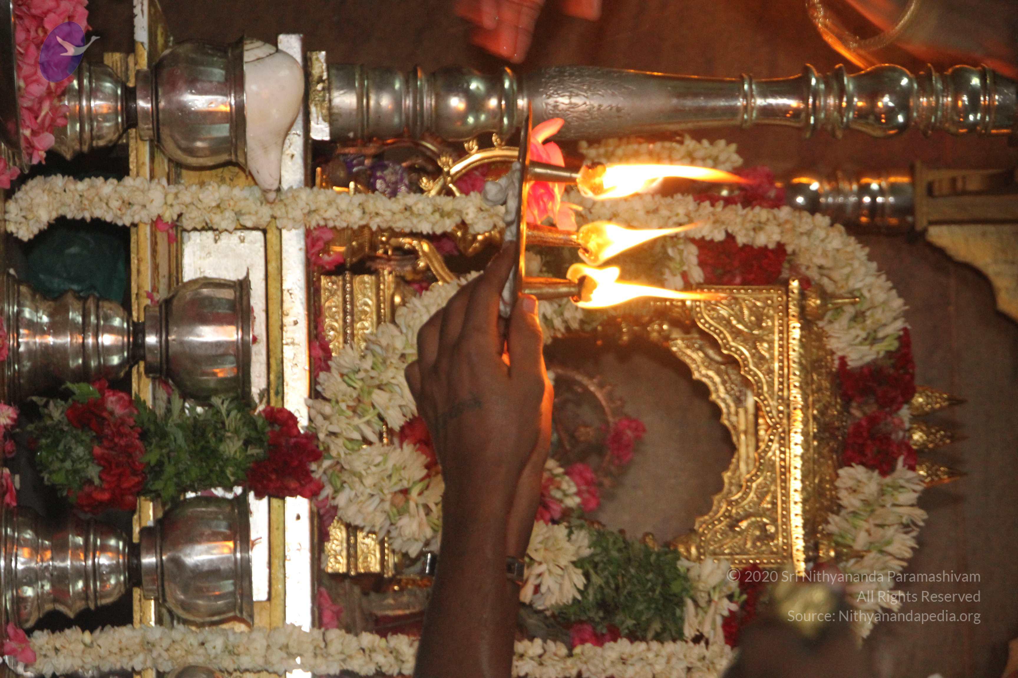 20120510_Photo_1040_IMG_6827_CMP_WM