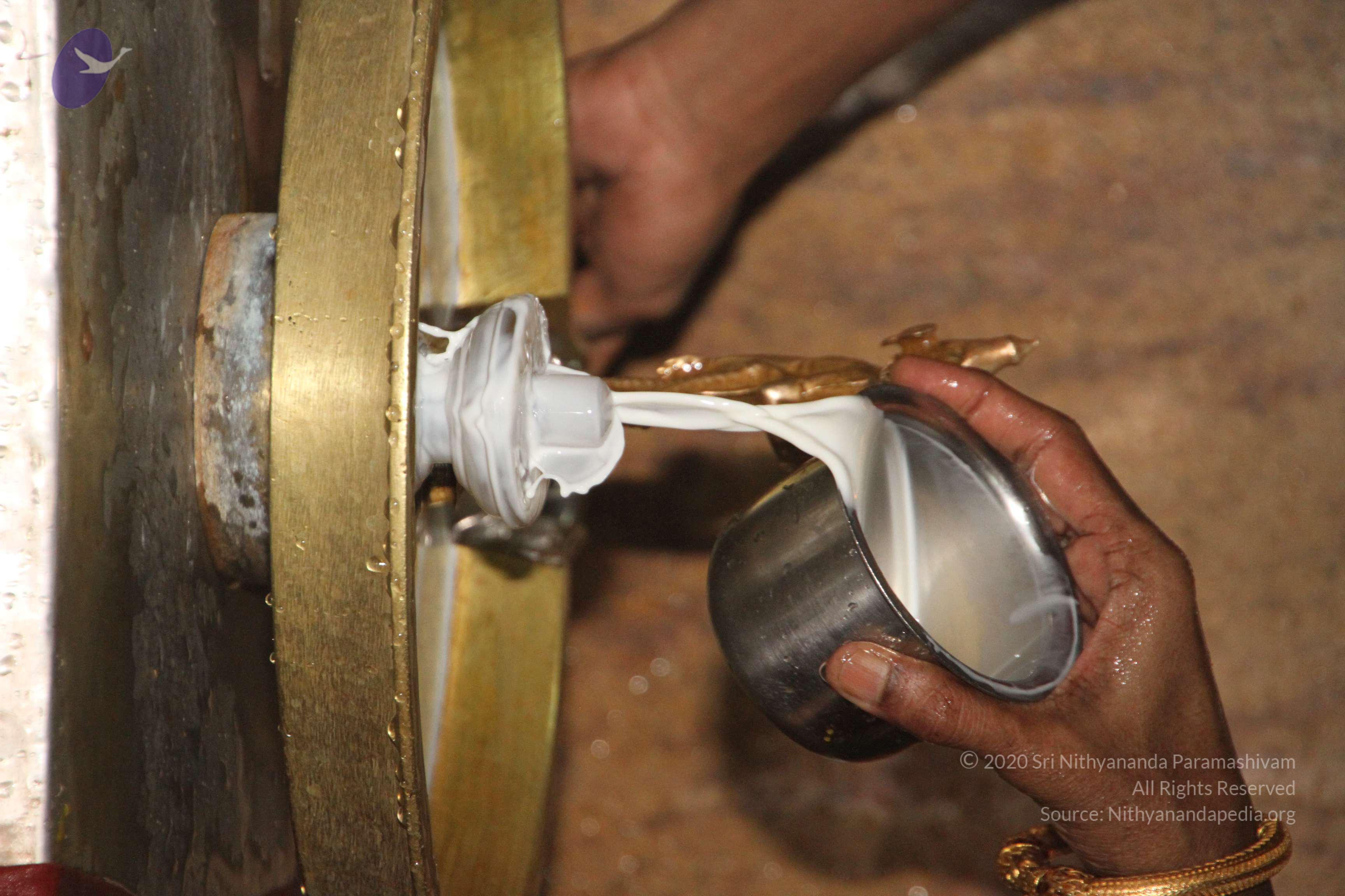 20120510_Photo_1049_IMG_6742_CMP_WM