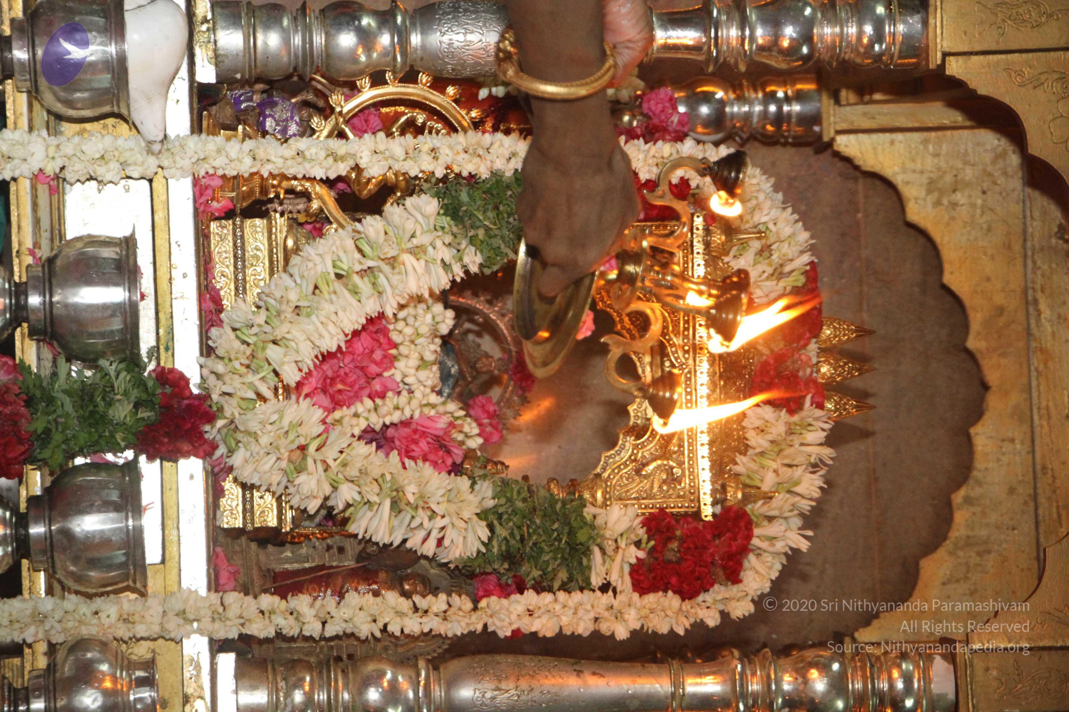 20120510_Photo_1059_IMG_6821_CMP_WM