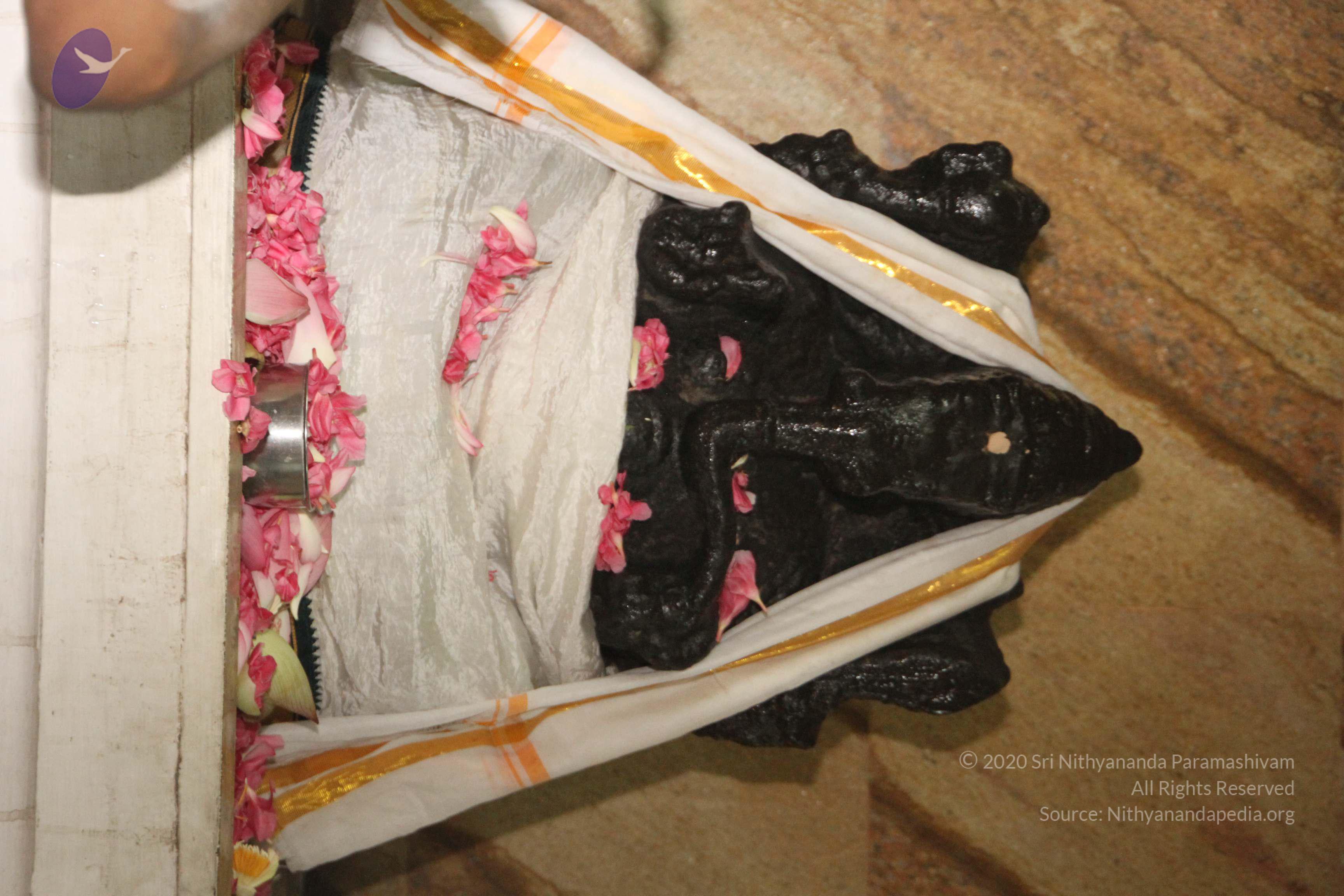 20120510_Photo_1060_IMG_6874_CMP_WM