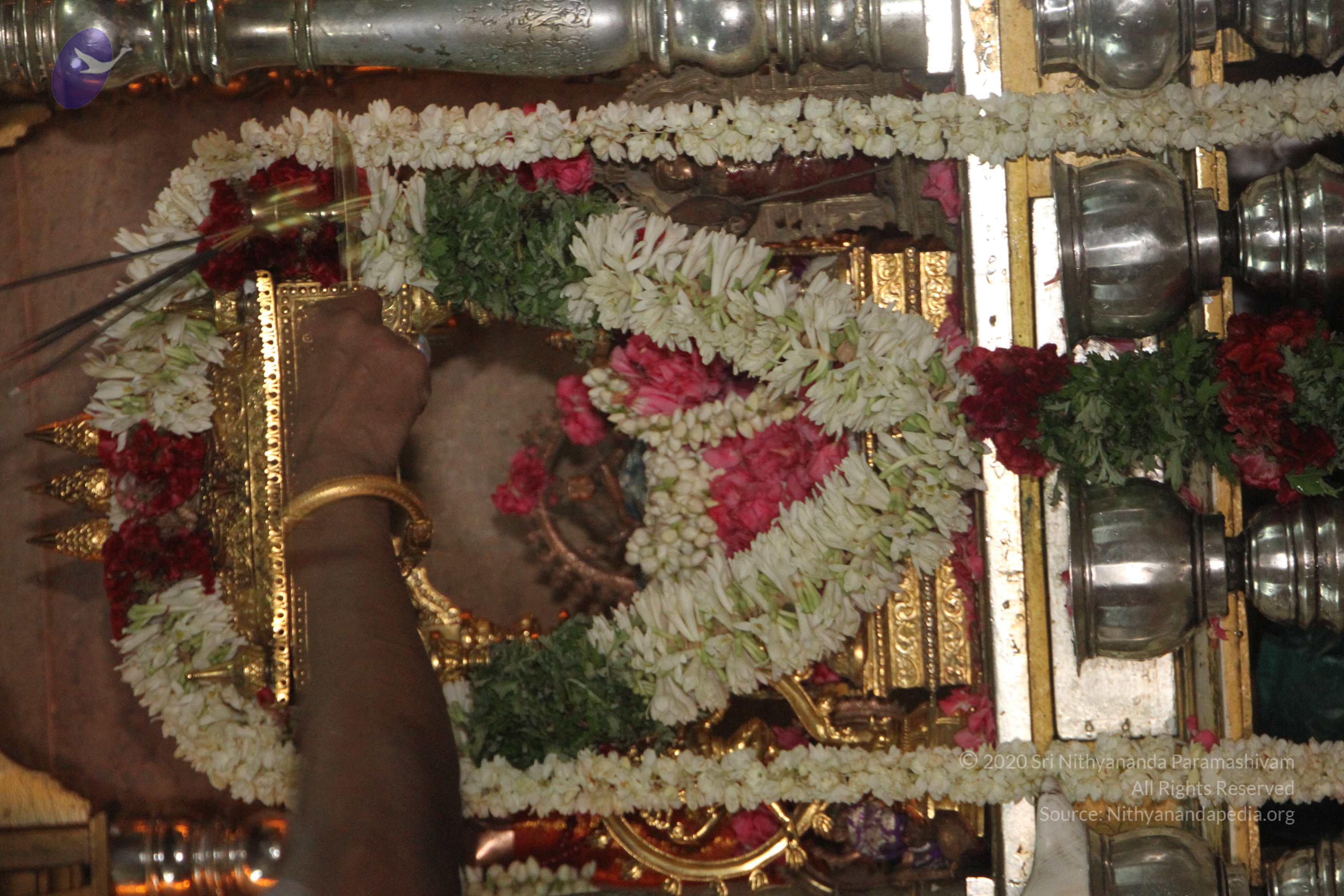 20120510_Photo_1066_IMG_6807_CMP_WM