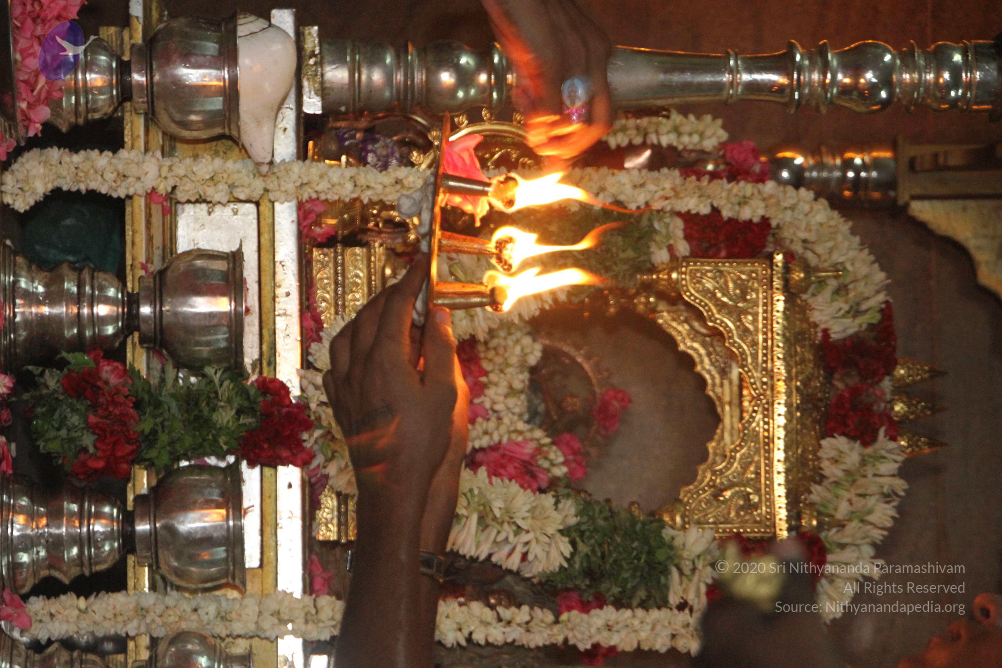 20120510_Photo_1075_IMG_6826_CMP_WM