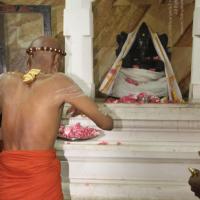 20120510_Photo_1076_IMG_6873_CMP_WM