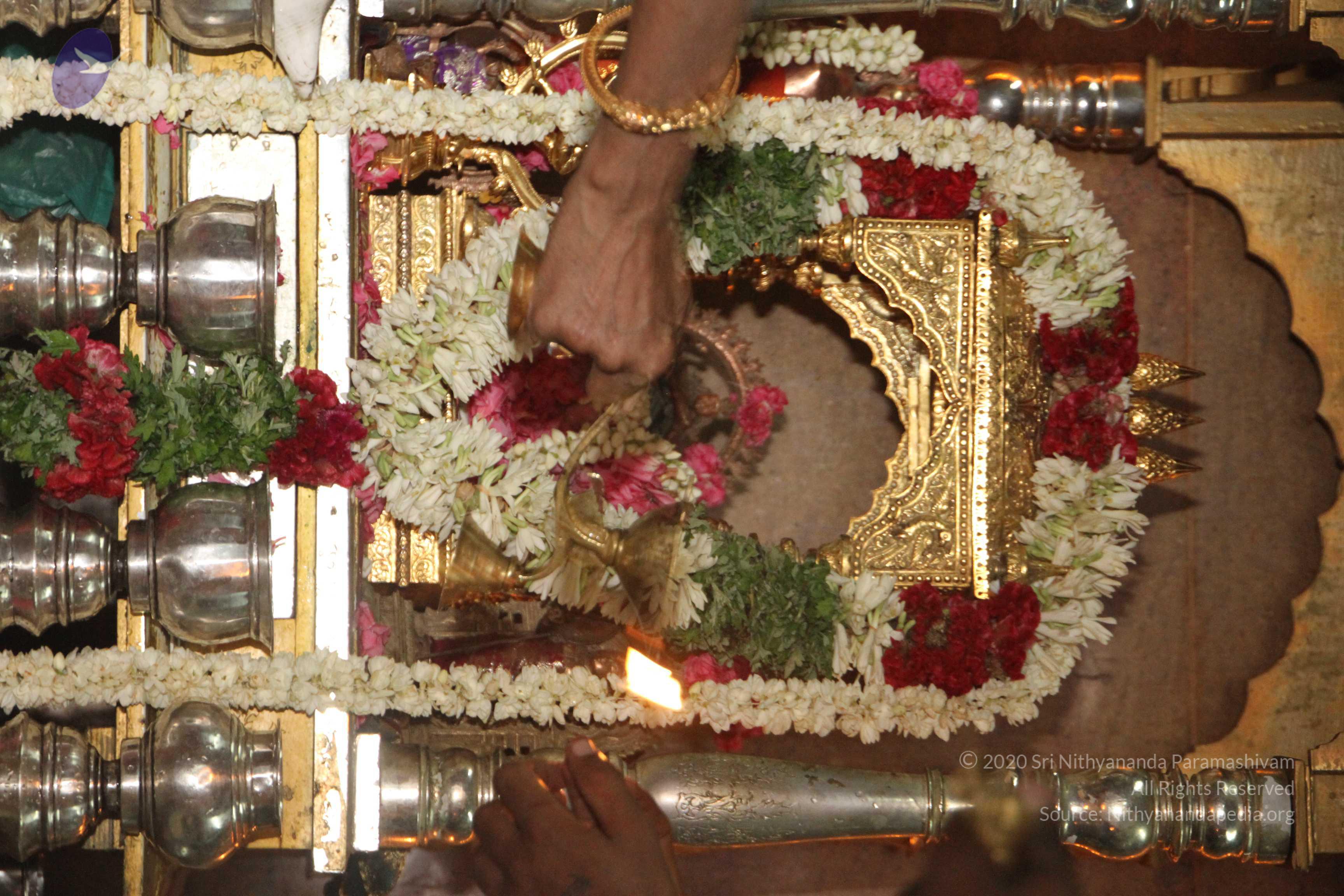 20120510_Photo_1084_IMG_6808_CMP_WM