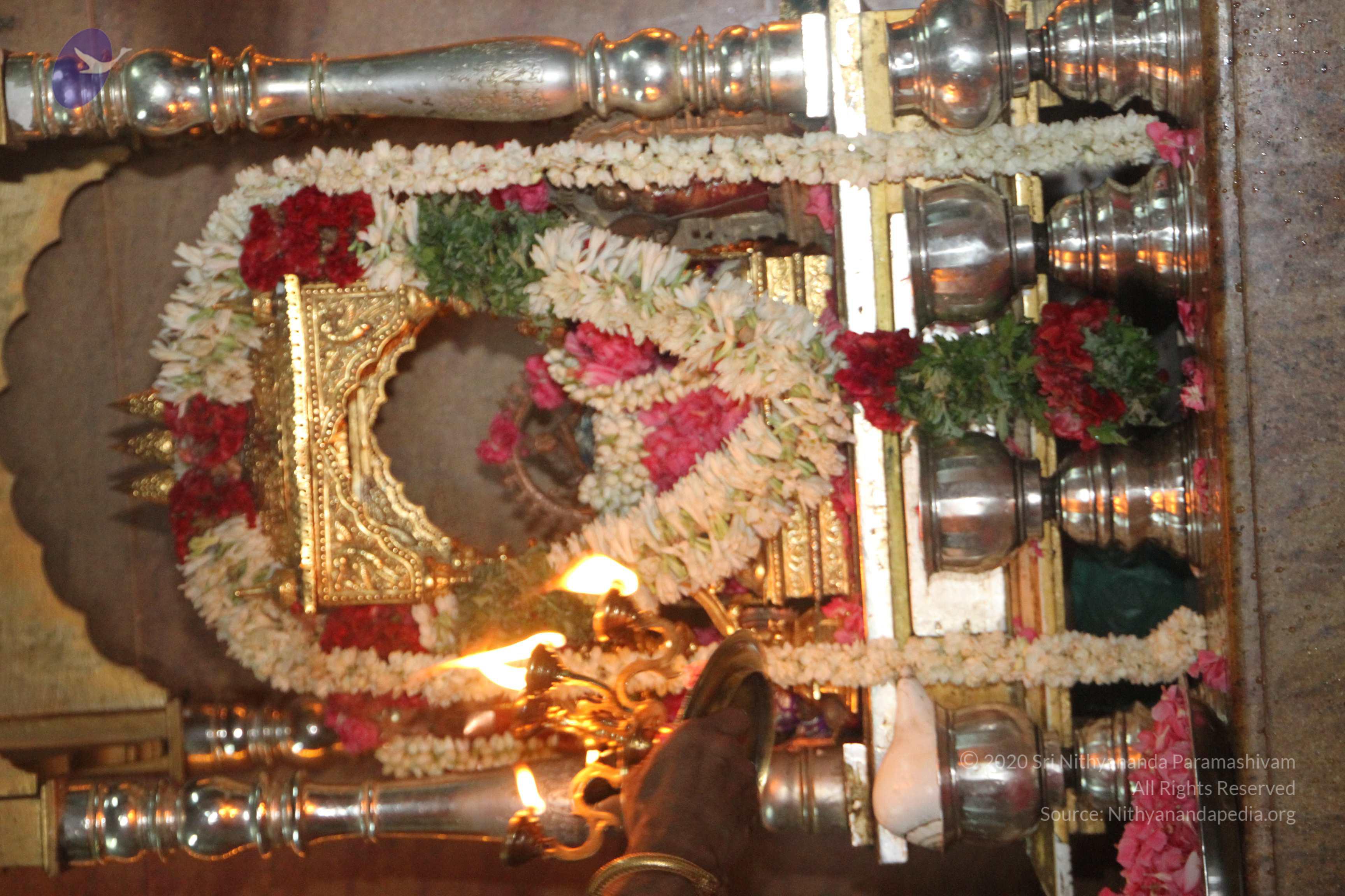 20120510_Photo_1087_IMG_6819_CMP_WM