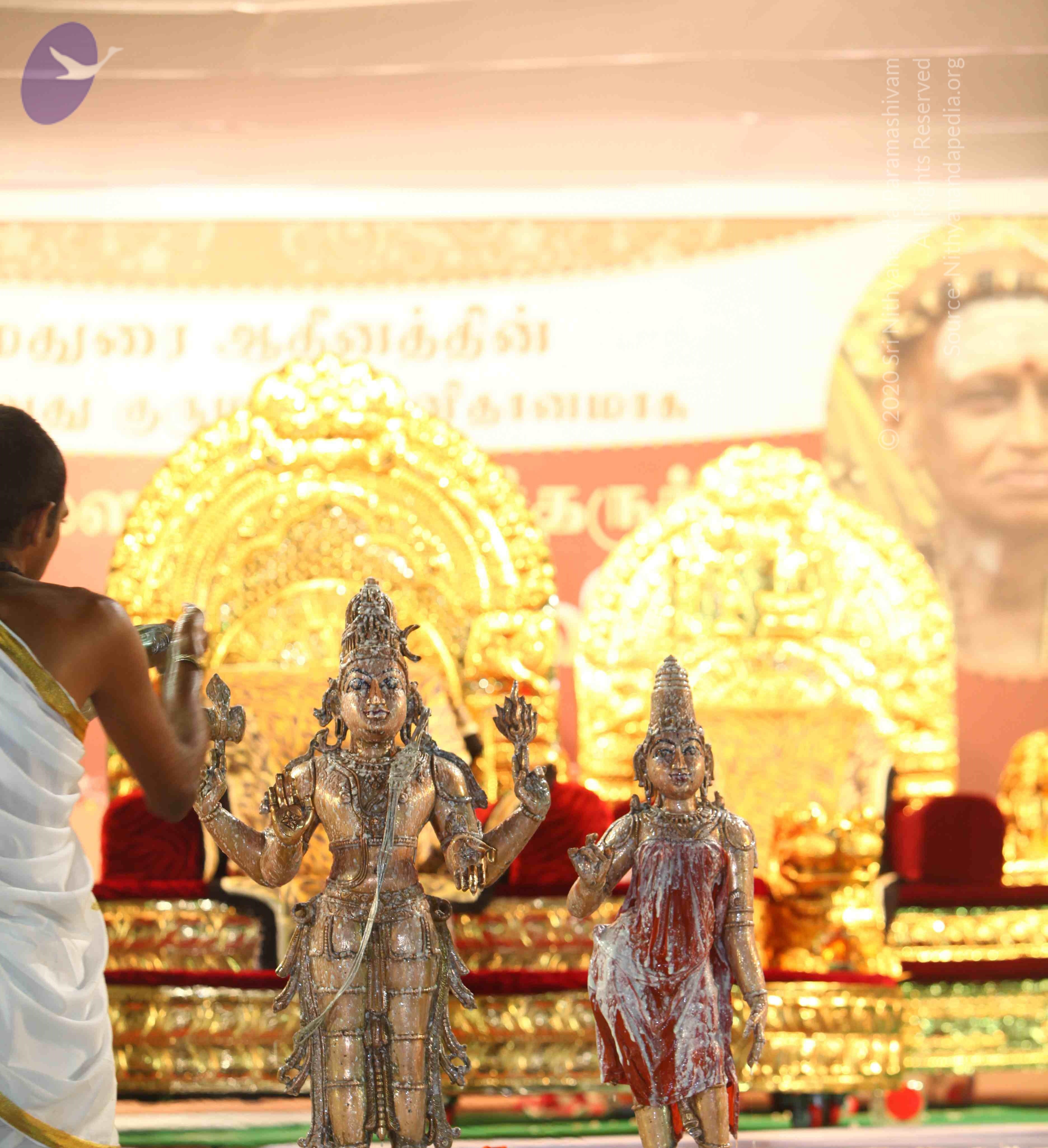 IMG_2487_CMP_WM Done